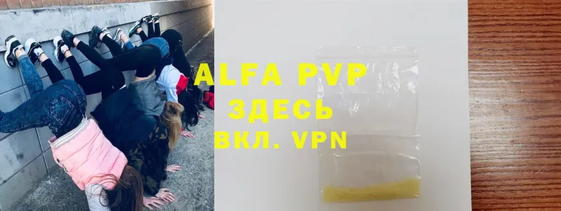 A-PVP СК  Кострома 